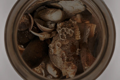 Een close-up van een ronde pot of glas gevuld met verschillende zand- en schelppartikelen, waaronder botten en botachtige fragmenten en een gebarsten rauwe aardetonen structuur.