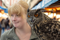 Vrouw met Uil op haar schouder loopt door een drukke straat, die niet bestaat.