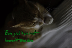 Een ziel kan niet bewerkt worden