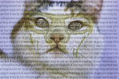 Tekst luid een schizophrene muis loopt door de gang en zegt aan welke kant hoor ik nou.