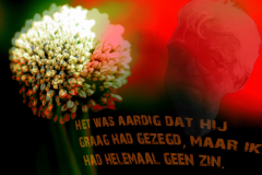 Ik had helemaal geen zin
