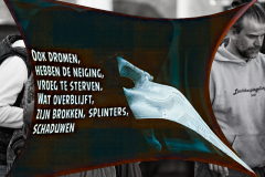 Ook dromen hebben de neiging vroeg te sterven, wat overblijft zijn brokken, splinters, schaduwen.