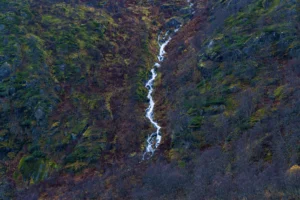 Smalle waterval stroomt over rotsachtige heuvel met mos en kale takken in herfstkleuren.