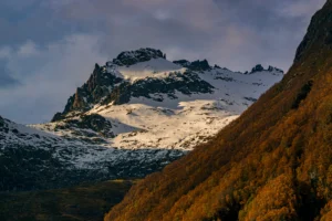 Besneeuwde bergtop met herfstige oranje en bruine bossen onder een bewolkte lucht.