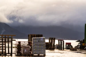 Stapels pallets en verpakte goederen op natte kade bij water en bergen onder bewolkte hemel.