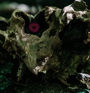 Knotvormig, verweerd stuk hout met scherpe textuur en lichtaccenten in de natuurlijke omgeving.