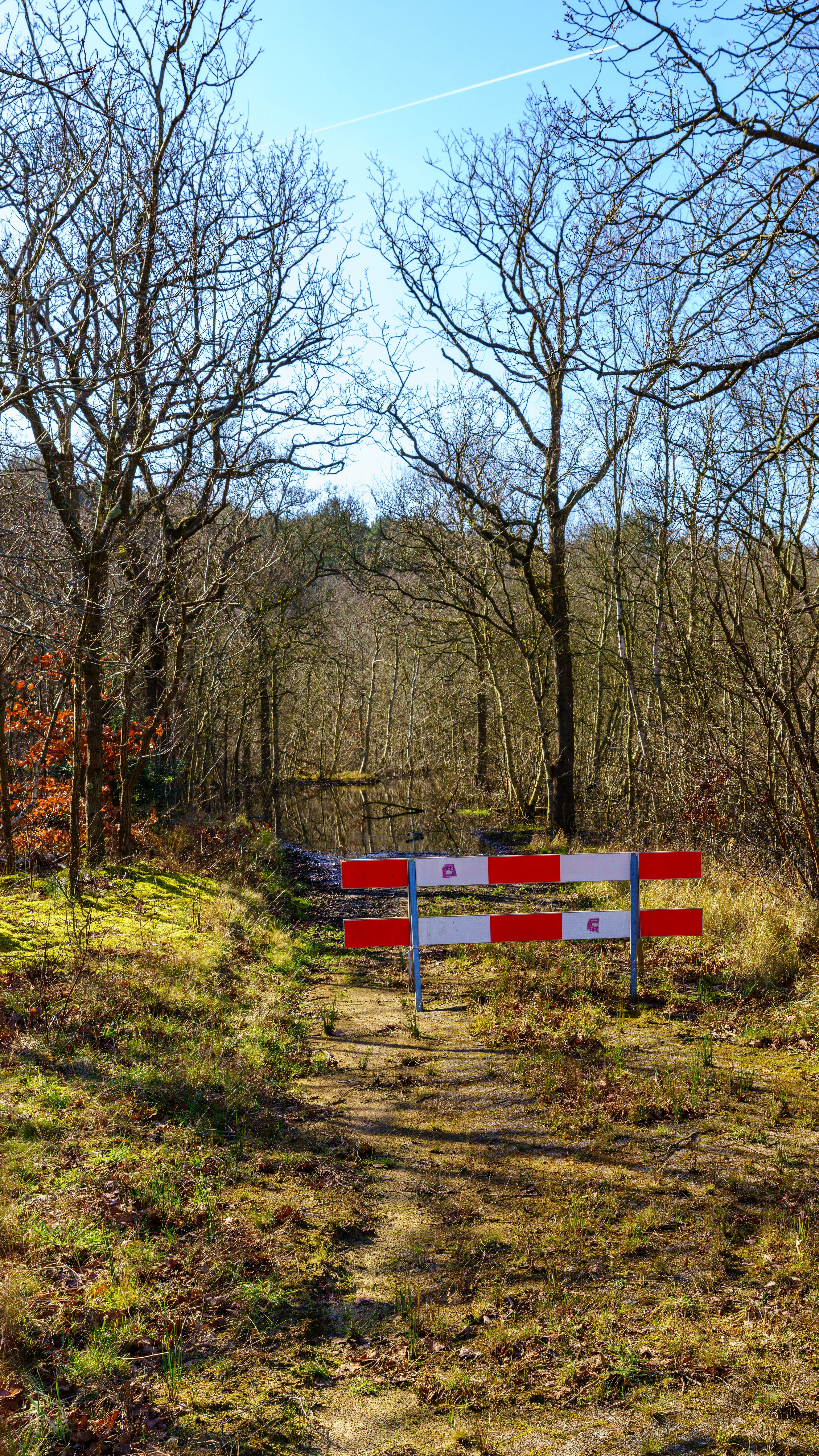 Ondergelopen duinlandschap in de late winter