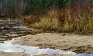 Een ondergelopen speelplek in de duinen