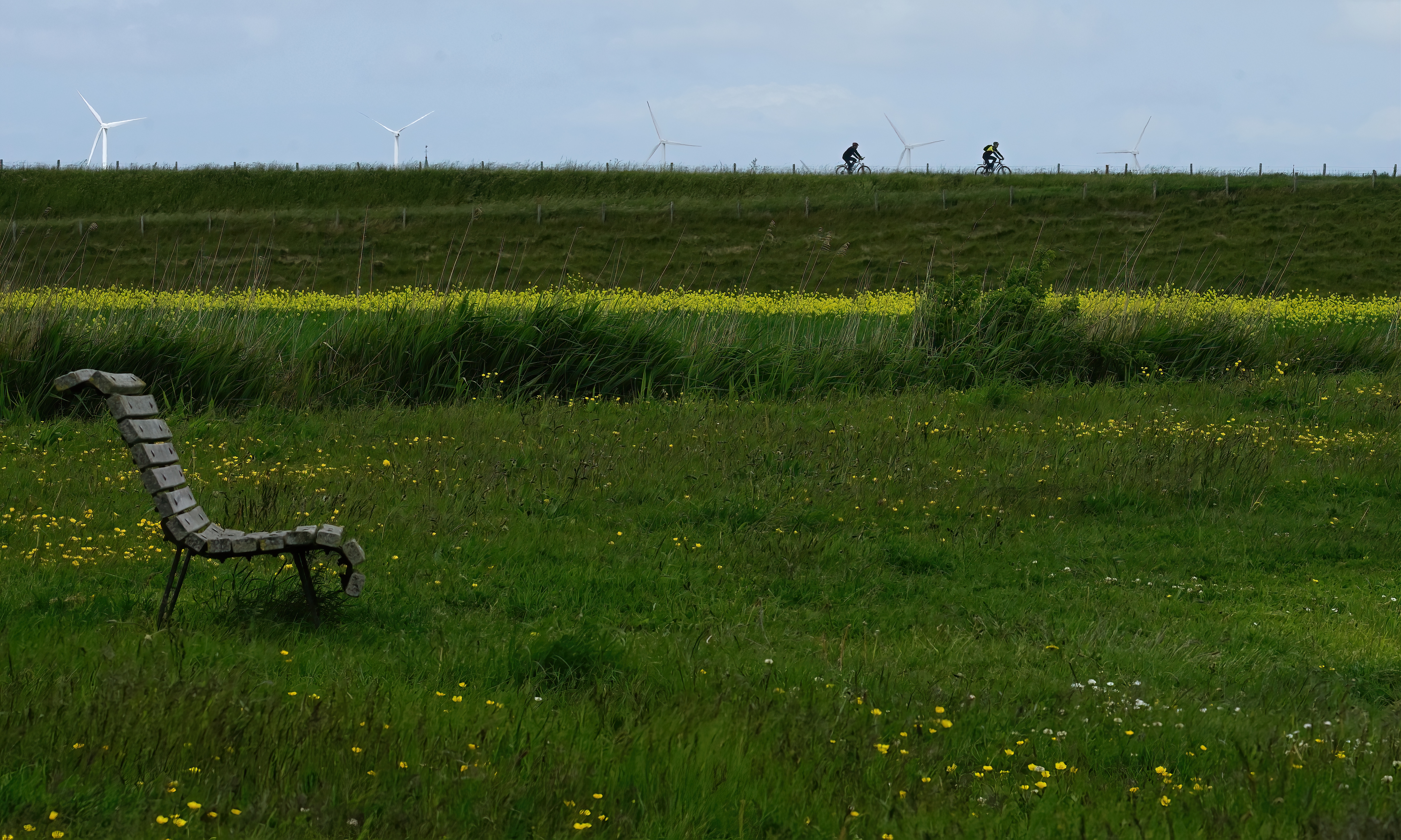 De West-Friese omringdijk