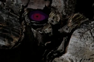 Donkere ruwe houtstructuur met een paarse en rode oogvormige vorm ingebed in het hout.