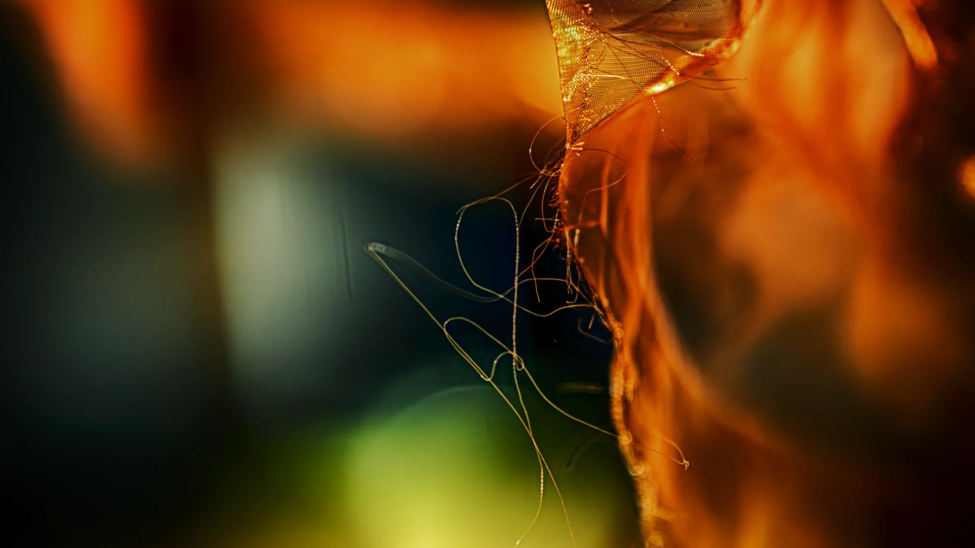 De archieven van de stilte