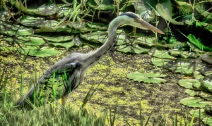 Transparant zijn naar mezelf