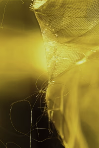 Lichtlijnen in rood, oranje en groen