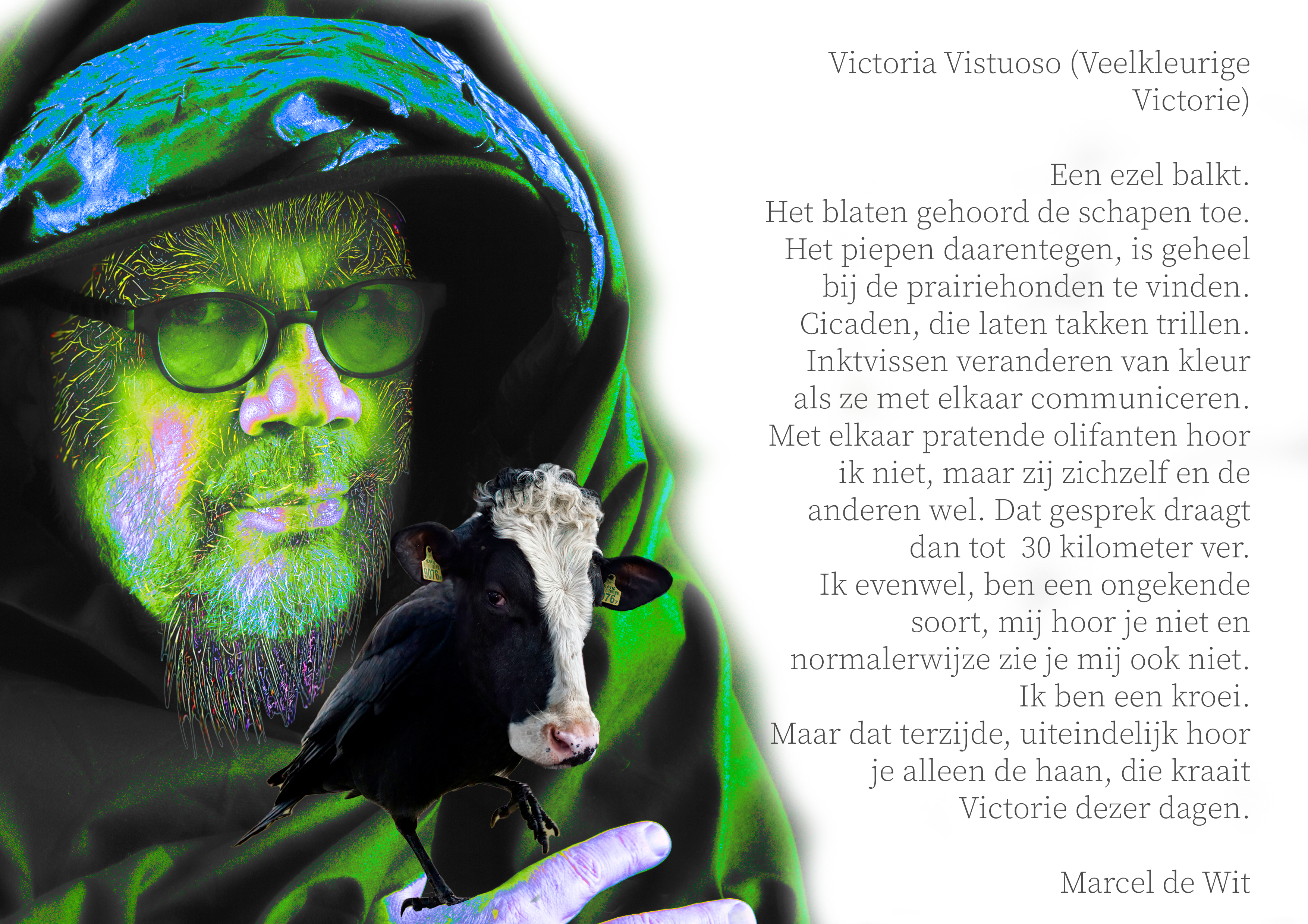 mdw Victoria Vestuoso