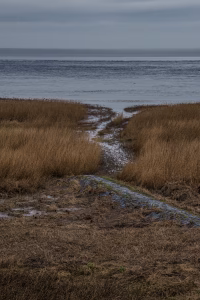 Februari dag aan de waddendijk in noord Friesland