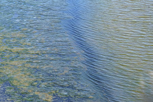 Het wad bij den Oever tussen eb en vloed