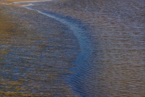 Het wad bij den Oever tussen eb en vloed