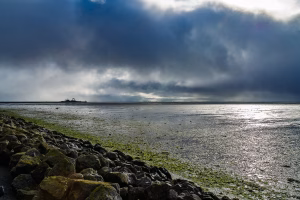 Aan de waddendijk op Schiermonnikoog