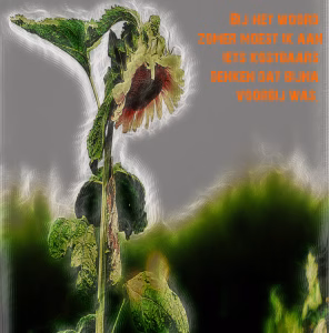 Zomer voorbij is een uitgebloeide en hangende zonnebloem op een spiegelende metalen plaat