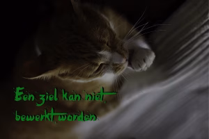 Een ziel kan niet bewerkt worden