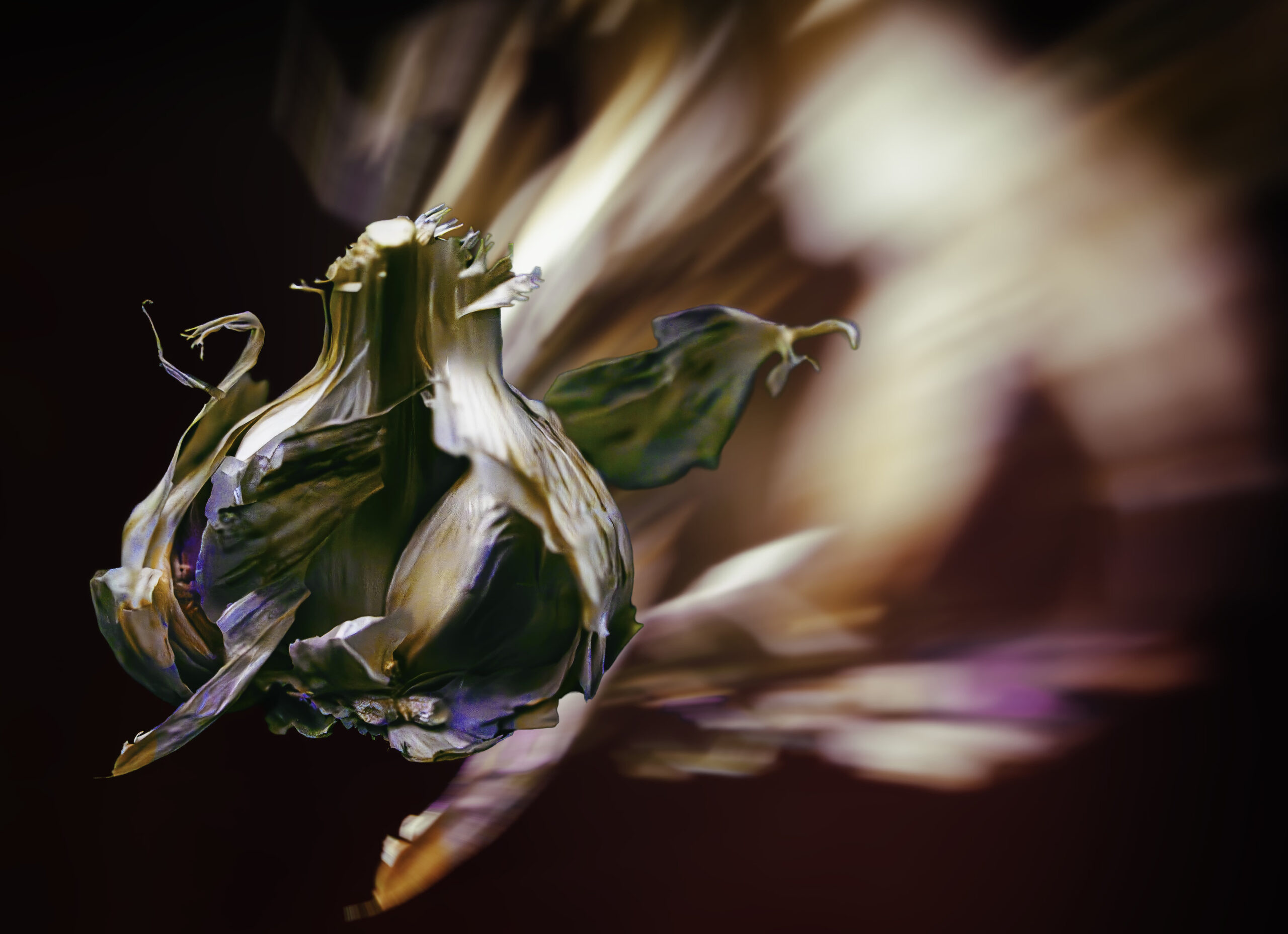 Wonderlijke Knoflook