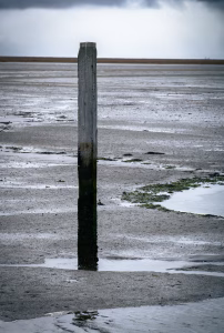 Het Wad bij Schiermonnikoog