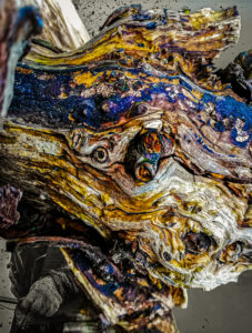 De kleuren van de boomstam