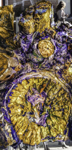 De kleuren van de boomstam