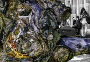 De kleuren van de boomstam