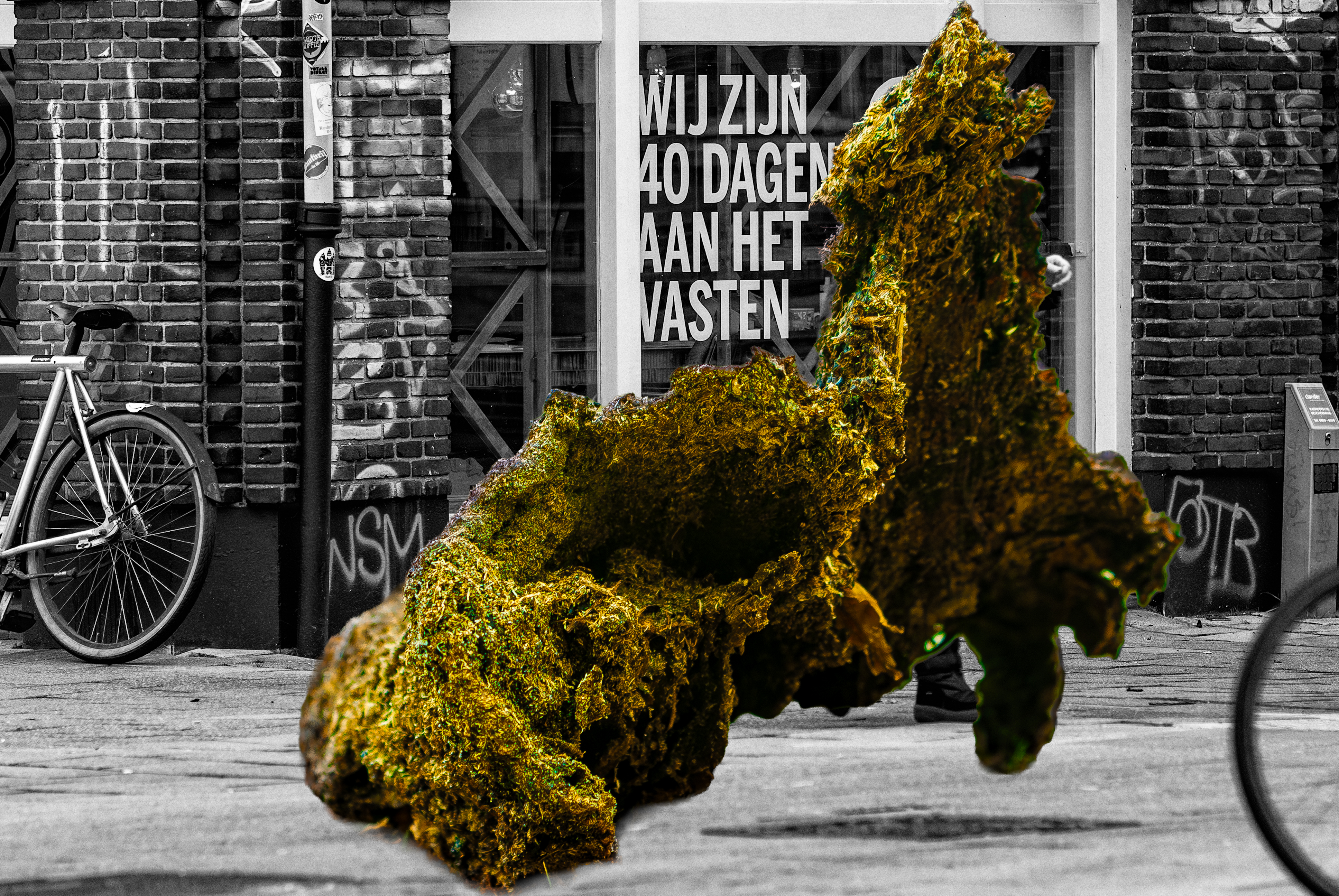 De kleuren van de boomstam