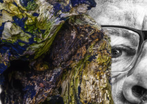 De kleuren van de boomstam