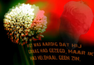Close-up van bloemklauw met vele kleine bloemetjes naast een rode silhouette van een gezicht, tekst op voorgrond.