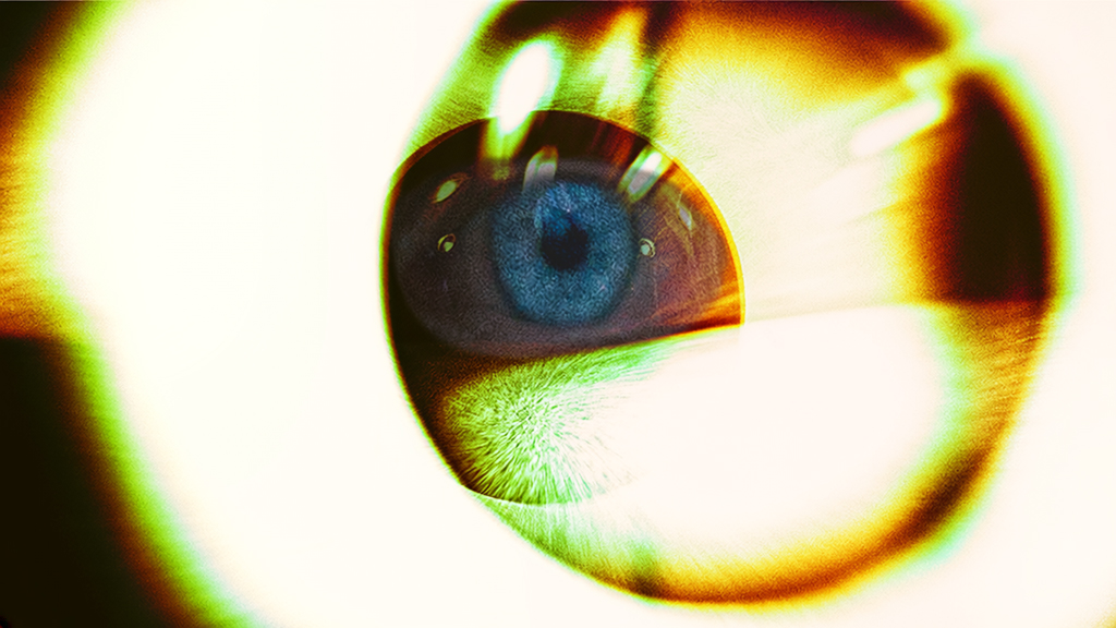Het oog